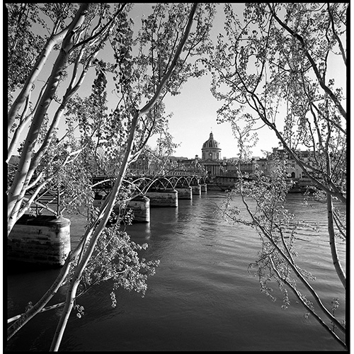 ©Gilles Dacquin